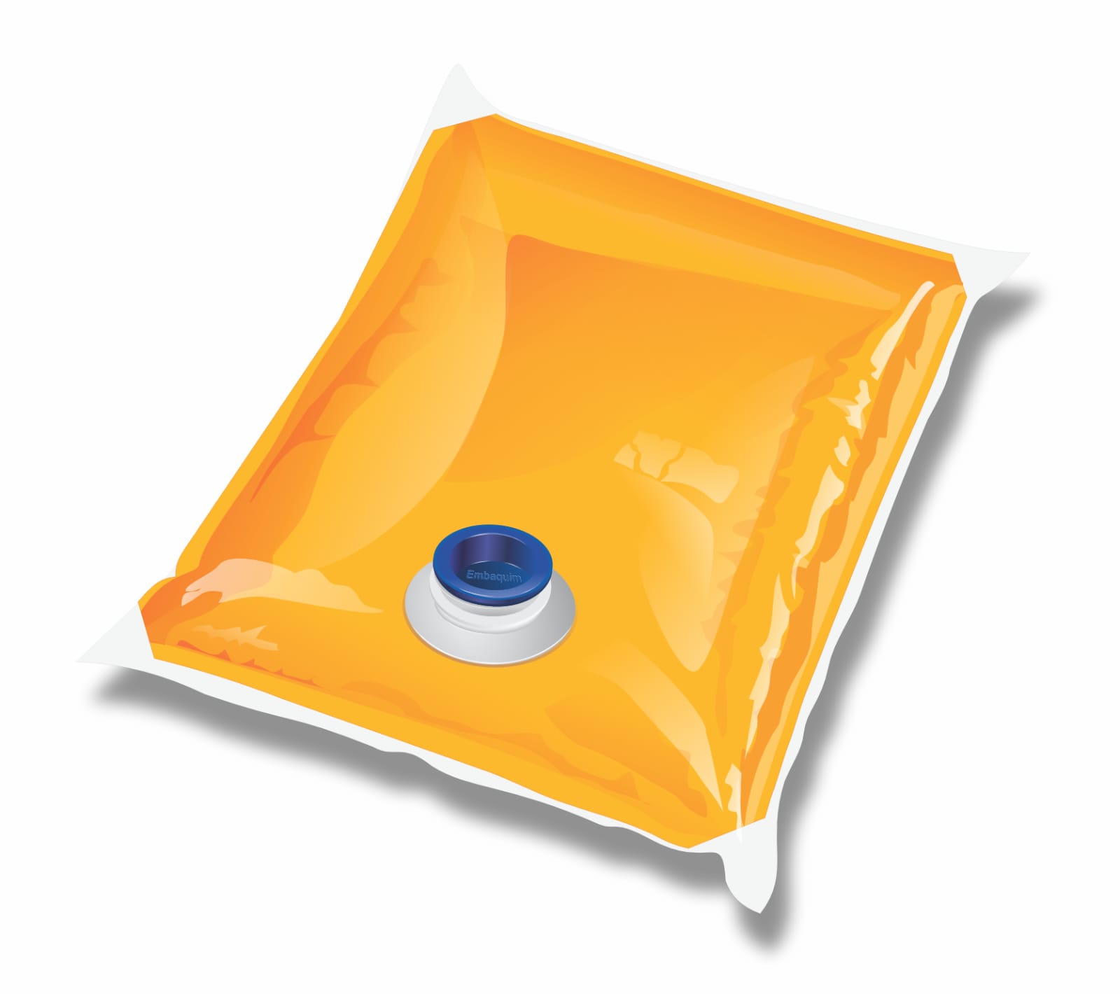 Bag in box 1